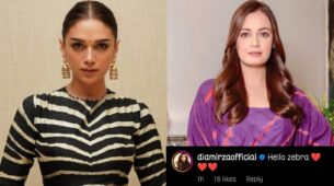 Aditi Rao Hydari keeps it ethereal and ethnic with her sheer striped traditional avatar, Dia Mirza calls her ‘Zebra’