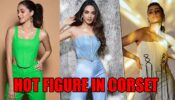 Ananya Panday To Samantha Ruth Prabhu: Times Celebrities Flaunted Their Hot Figure In Corset Outfits