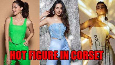 Ananya Panday To Samantha Ruth Prabhu: Times Celebrities Flaunted Their Hot Figure In Corset Outfits