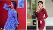 Ashnoor Kaur and Anushka Sen are beauty personified in bodycon dresses, see pics