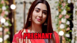 Bade Achhe Lagte Hain 2 spoiler alert: Priya gets pregnant