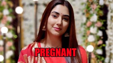 Bade Achhe Lagte Hain 2 spoiler alert: Priya gets pregnant