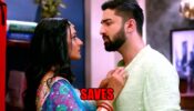 Bhagya Lakshmi: Rishi saves pregnant Lakshmi from falling