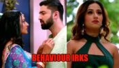 Bhagya Lakshmi: Rishi’s behaviour towards Lakshmi irks Malishka