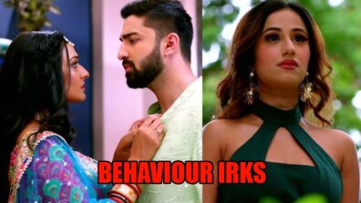 Bhagya Lakshmi: Rishi’s behaviour towards Lakshmi irks Malishka