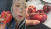 Blackpink Rose enjoys a sweet bite from a red ripe peach fruit, watch video