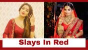 Bridal Lehengas To Sleeveless Kurtis: Times Bhojpuri Babe Monalisa Slayed In Red