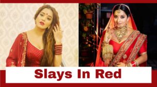 Bridal Lehengas To Sleeveless Kurtis: Times Bhojpuri Babe Monalisa Slayed In Red