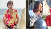 Congratulations: Parth Samthaan and Divyanka Tripathi achieve millionaire milestone on Instagram