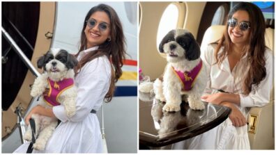 Cuteness Alert: Keerthy Suresh takes pet dog for his first flight journey in private jet, see luxury moment