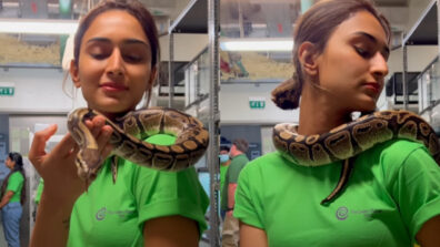 Dangerous Beauty: Erica Fernandes Caught Playing With Huge Python, A User Comments, “KKK Ka Audition Chal Raha Hai”