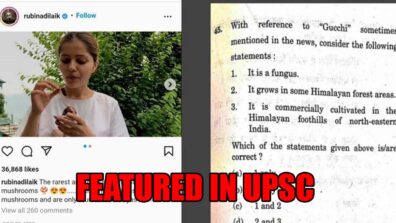 Did You Know Rubina Dilaik’s One Instagram Post Had Featured As Question In UPSC CSE 2022? Read