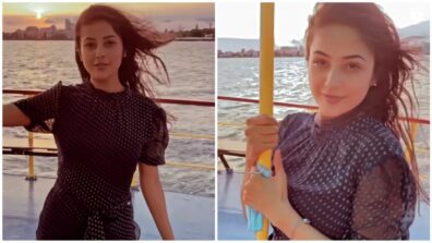 Dil Na Jaaneya: Shehnaaz Gill is feeling romantic during sunset, fans call her ‘happy soul’