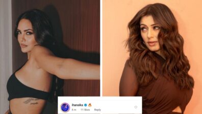 Esha Gupta calls her ‘Dark & Desirable’ poses tempting in black lingerie, Hansika Motwani feels the heat