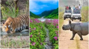 Go On An Adventurous Holiday With These 5 National Parks Of India