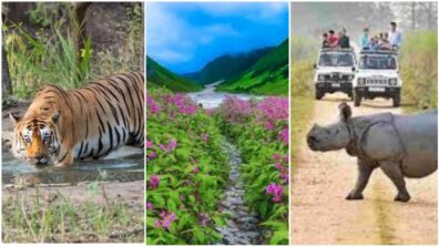 Go On An Adventurous Holiday With These 5 National Parks Of India