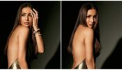 Hansika Motwani liked Malaika Arora’s sizzling Instagram post in a backless metallic outfit