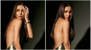 Hansika Motwani liked Malaika Arora’s sizzling Instagram post in a backless metallic outfit