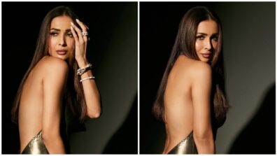 Hansika Motwani liked Malaika Arora’s sizzling Instagram post in a backless metallic outfit