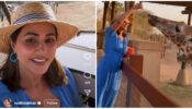Hina Khan gets on a safari ride in Abu Dhabi, watch video
