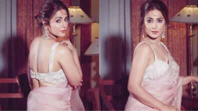 Hina Khan is a ‘sight to behold’ in a transparent saree and flaunts a backless blouse like a diva