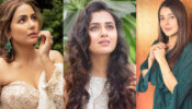 Hina Khan, Tejasswi Prakash, Shehnaaz Gill: Actresses Dressing Up In The Perfect Dull Blue Shade Of Monsoon