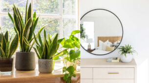 Houseplants To Mirrors: Top 5 Must-Have Home Accessories