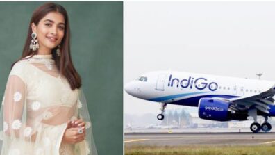 How Rude…: Pooja Hegde lashes out at IndiGo airlines staff member for alleged misbehaviour, accuses him of threatening