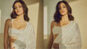 In Pics: Ananya Panday prompts elegance in sheer white embellished saree