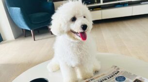 Kartik Aaryan calls puppy ‘Katori Aaryan’ his ‘constant cheerleader’, Ananya Panday loves it