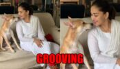 Madhuri Dixit Leaves Instagram Grooving As She Dances With Her Dog Carmelo Nene: See Video