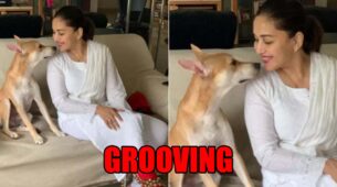 Madhuri Dixit Leaves Instagram Grooving As She Dances With Her Dog Carmelo Nene: See Video