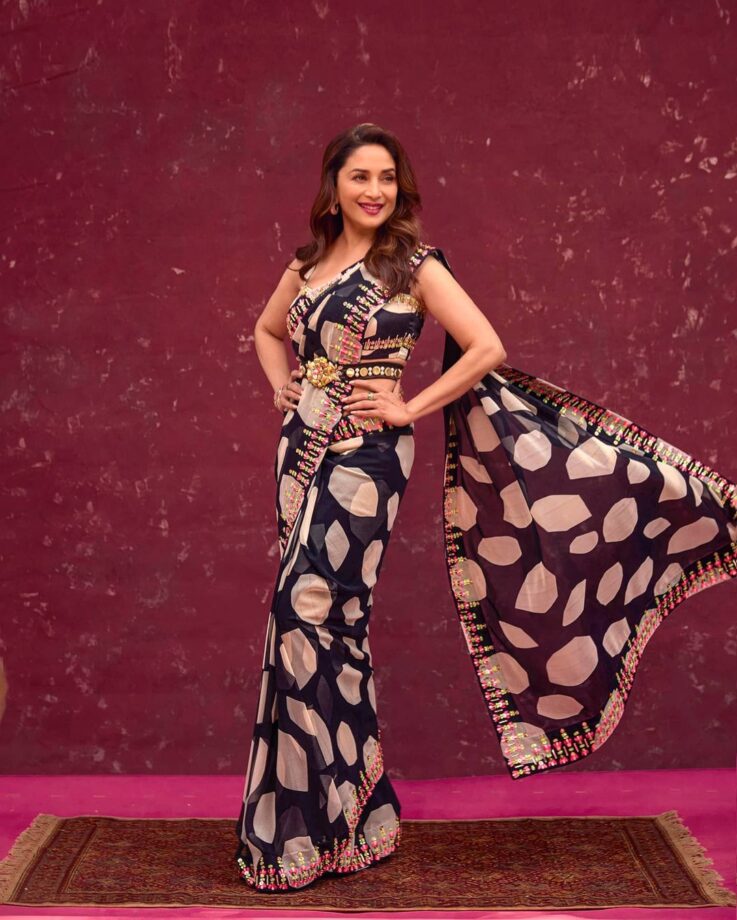 5 Times Madhuri Dixit Swooned Our Hearts With Her Gorgeous Saree Collection - 4