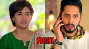 Meet: Pregnant Meet Hooda fights with Shanty to save her husband Meet