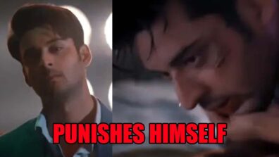 Meet spoiler alert: Meet Ahlawat punishes himself