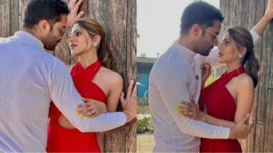 Nikki Tamboli and Shaheer Sheikh prep up all steamy for next project, see pics