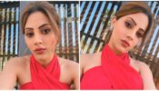 Oops moment: Nikki Tamboli survives a wardrobe malfunction, watch video