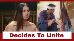 Pandya Store: Dhara decides to unite Raavi with Shiva