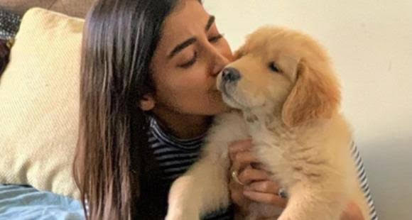 Pooja Hegde’s Love For Animals Is Unmatchable: Check Out These Pictures - 0