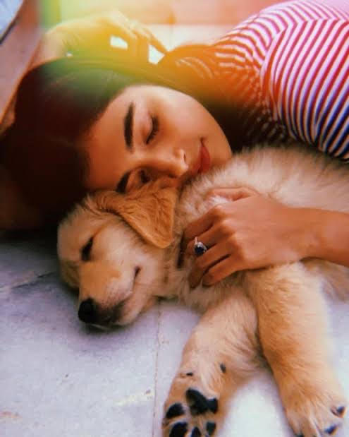 Pooja Hegde’s Love For Animals Is Unmatchable: Check Out These Pictures - 1