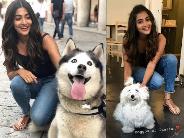 Pooja Hegde’s Love For Animals Is Unmatchable: Check Out These Pictures - 3