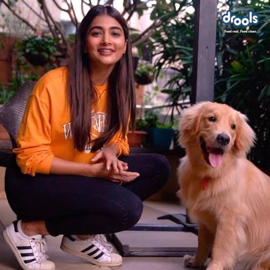 Pooja Hegde’s Love For Animals Is Unmatchable: Check Out These Pictures - 4