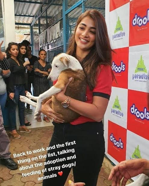 Pooja Hegde’s Love For Animals Is Unmatchable: Check Out These Pictures - 5