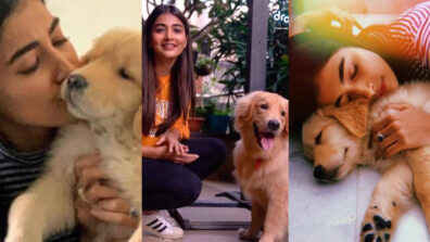 Pooja Hegde’s Love For Animals Is Unmatchable: Check Out These Pictures