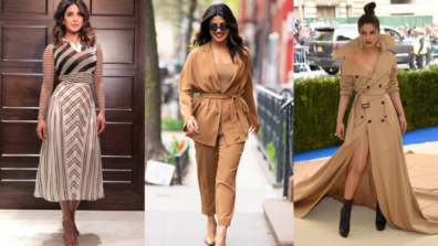 Priyanka Chopra Looks Like Chocolate In Brown Outfits