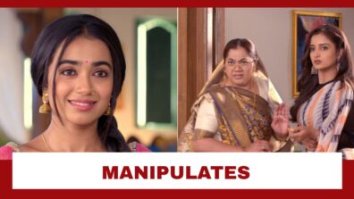 Pyar Ka Pehla Naam Radha Mohan: Damini manipulates Radha