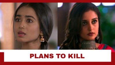 Pyar Ka Pehla Naam Radha Mohan: Damini plans to kill Radha