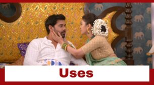 Pyar Ka Pehla Naam Radha Mohan: Damini uses Radha to get rid of Tulsi