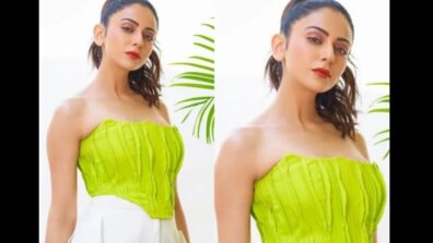 Rakul Preet Singh And Her Top Corset Inspired Outfits, Check Out