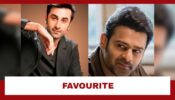 Ranbir Kapoor Opens Up On His Favourite Tollywood Superstar: Know Who